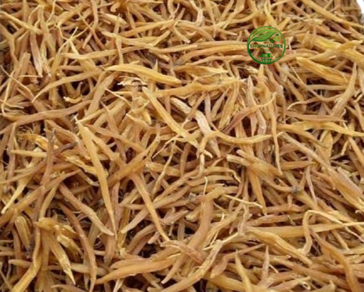 Shatavari Yellow (Asparagus racemosus) – Premium Dried Shatavari Root | Natural Botanical Herb