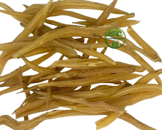 Shatavari Yellow (Asparagus racemosus) – Premium Dried Shatavari Root | Natural Botanical Herb
