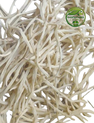 Shatavari White (Asparagus racemosus) – Premium White Shatavari Root | Natural Botanical Herb