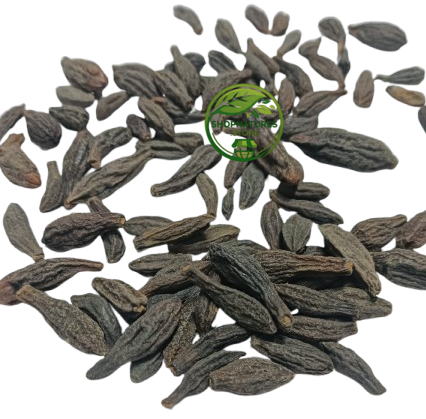 Small Harad (Terminalia chebula) – Kali Harad | Choti Harad | Black Himej | Myrobalan | Whole Fruit