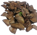 Sugar Badam Kadwa (Swietenia macrophylla) – Diabetes Almonds | Kadua Badam | Sky Fruit | Premium Natural Seeds