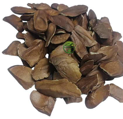 Sugar Badam Kadwa (Swietenia macrophylla) – Diabetes Almonds | Kadua Badam | Sky Fruit | Premium Natural Seeds