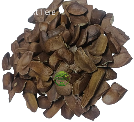 Sugar Badam Kadwa (Swietenia macrophylla) – Diabetes Almonds | Kadua Badam | Sky Fruit | Premium Natural Seeds