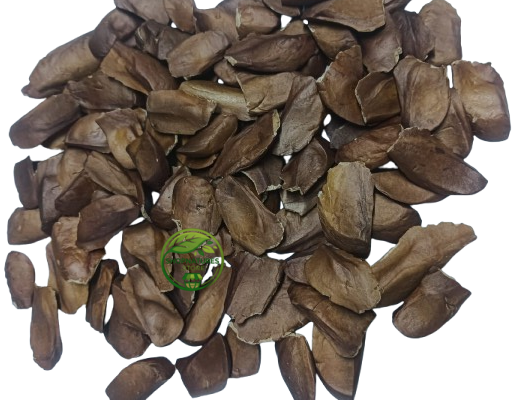 Sugar Badam Kadwa (Swietenia macrophylla) – Diabetes Almonds | Kadua Badam | Sky Fruit | Premium Natural Seeds