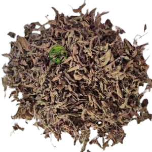 Tulsi Leaves (Ocimum sanctum) – Holy Basil | Krishna Tulsi | Tulasi | Premium Dried Leaves
