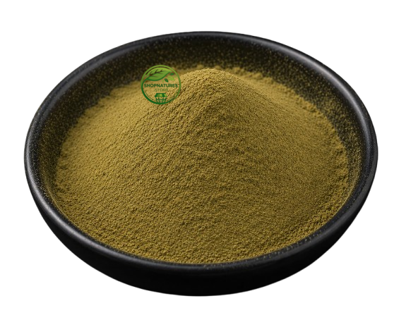 Yarrow Extract Powder (Achillea millefolium) – Biranjasipha Extract | Natural Herbal Extract Powder