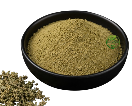 Yarrow Powder (Achillea millefolium) – Biranjasipha Powder | Premium Natural Herbal Powder