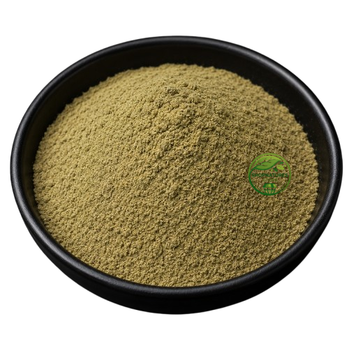 Yarrow Powder (Achillea millefolium) – Biranjasipha Powder | Premium Natural Herbal Powder