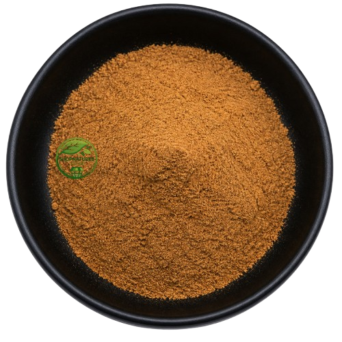 Cinnamon Powder - Cinnamomum verum | Cinnamomum zeylanicum – Premium Dalchini Powder | 100% Natural