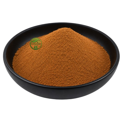 Cinnamon Extract Powder – Cinnamomum verum | Cinnamomum zeylanicum Herbal Extract