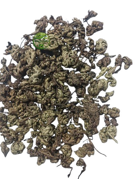 Sanjeevni Booti (Selaginella bryopteris) - Cut Pieces – Laxmana Booti | Natural Dried Herb