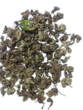 Sanjeevni Booti (Selaginella bryopteris) - Cut Pieces – Laxmana Booti | Natural Dried Herb